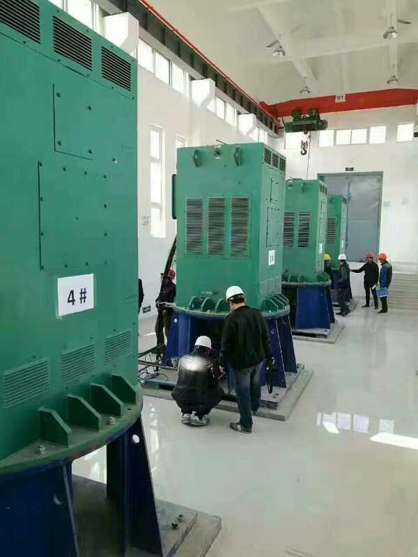 荣县某污水处理厂使用我厂的立式高压电机安装现场