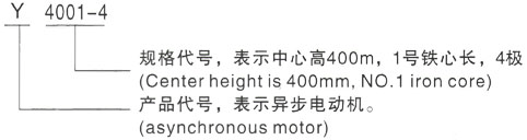 西安泰富西玛Y系列(H355-1000)高压荣县三相异步电机型号说明